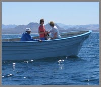 The Sea of Cortez is Eco-Tourism Paradise
