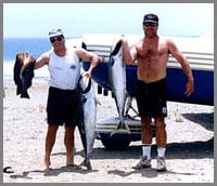 Yellow Tail Baja fishing fun