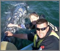 Frequently Asked Questions Baja Whale Watching