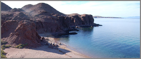 sea of cortez in the Midriff Island Region