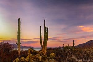 las animas ecolodge baja